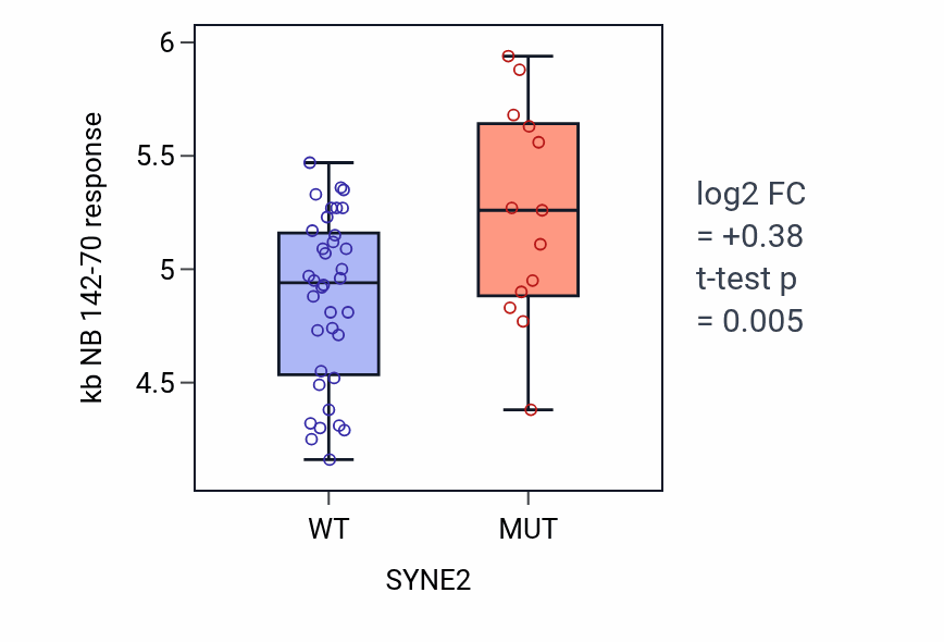 Box plot of kb NB 142-70 response in SYNE2-mutant vs wild-type cell lines in BREAST.