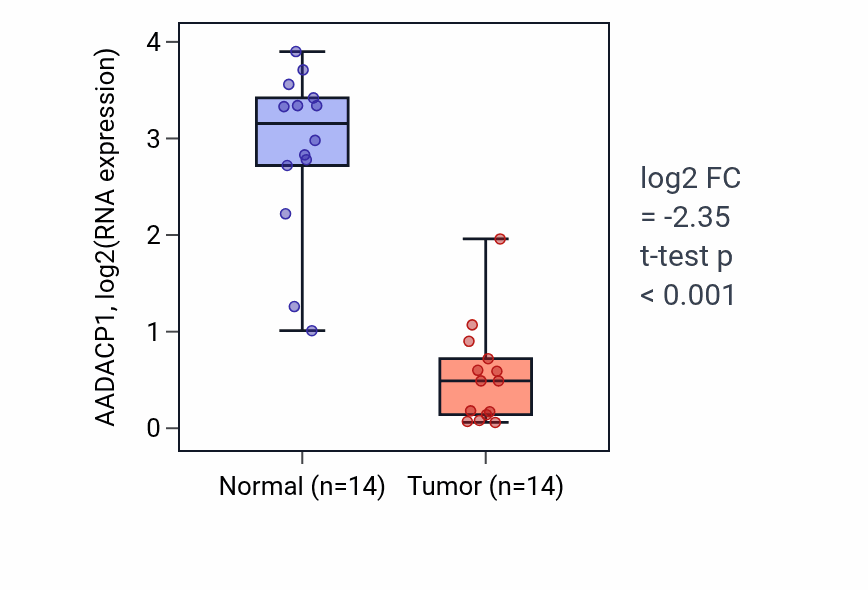 Tumor-vs-normal expression box plot for AADACP1 RNA in THCA.