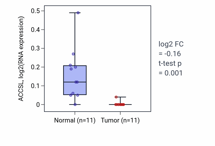 Tumor-vs-normal expression box plot for ACCSL in UCEC.