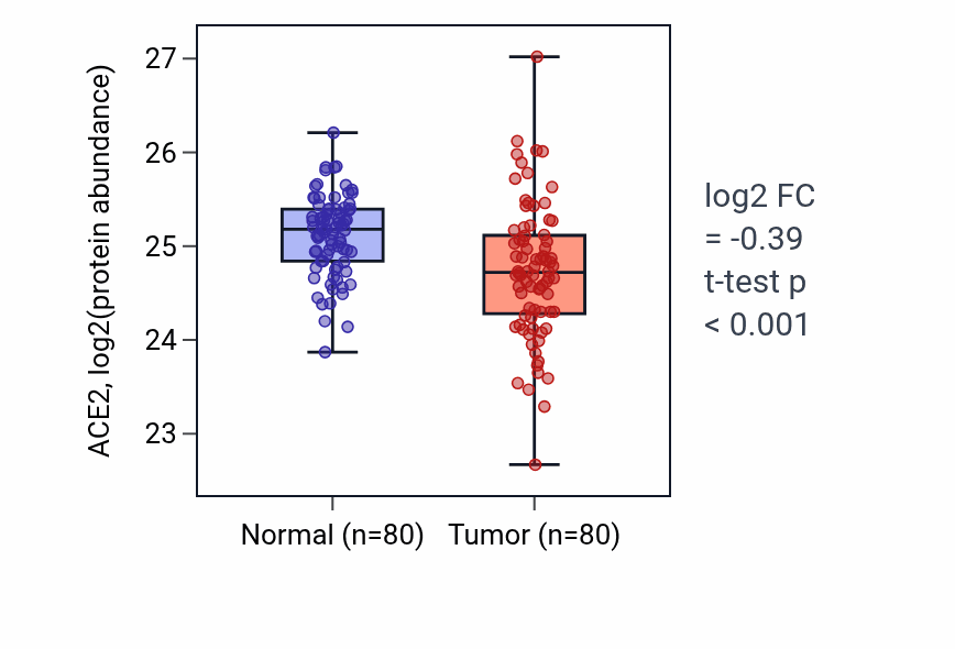 Tumor-vs-normal mass-spec protein box plot for ACE2 in CCRCC.