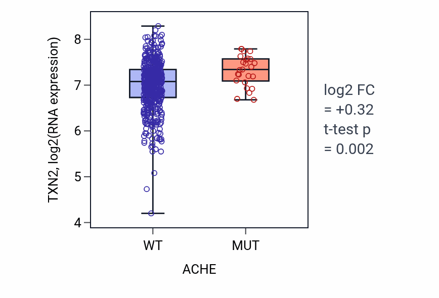 Box plot of TXN2 in ACHE-low vs ACHE-high samples in UCEC.