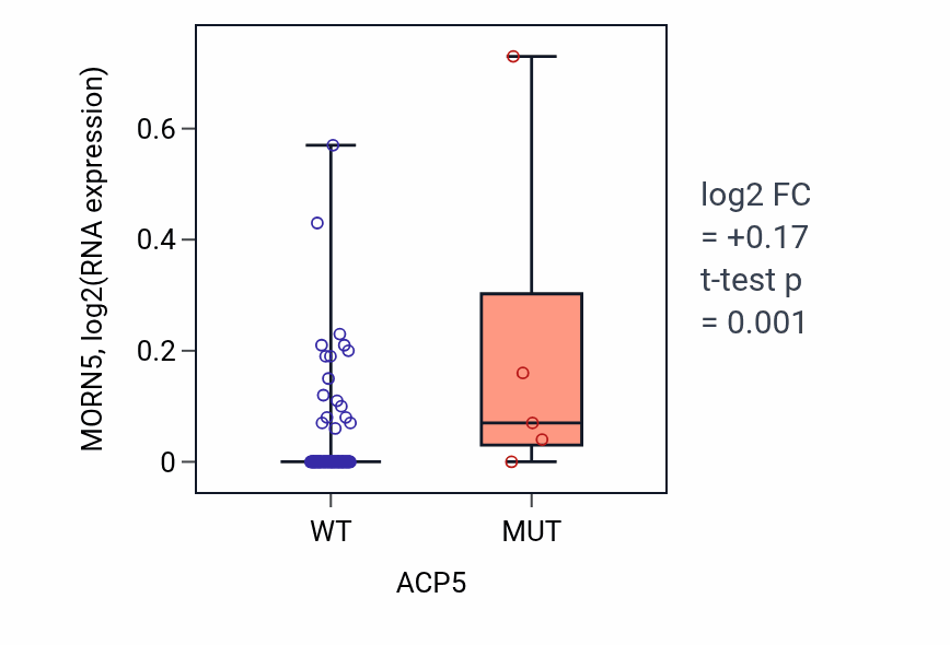 Box plot of MORN5 in ACP5-low vs ACP5-high samples in BLOOD_Leukemia.