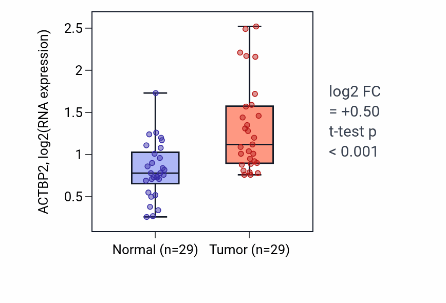 Tumor-vs-normal expression box plot for ACTBP2 in HNSC.