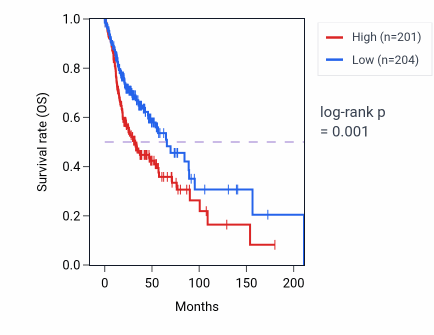 Kaplan&ndash;Meier survival curve for ACTC1 RNA expression in HNSC: high vs low expression groups.