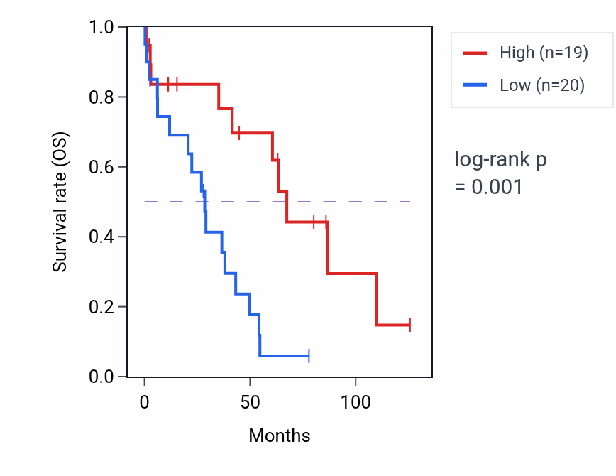 Kaplan&ndash;Meier survival curve for ACTG1P16 RNA expression in OV: high vs low expression groups.