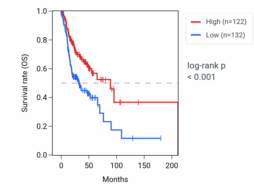 Kaplan&ndash;Meier survival curve for ACTG1P22 RNA expression in HNSC: high vs low expression groups.