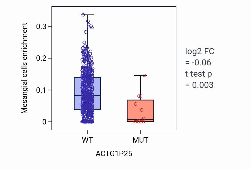 Box plot of Mesangial cells in ACTG1P25-low vs ACTG1P25-high samples in UCEC.