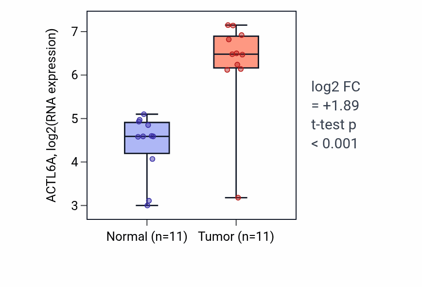Tumor-vs-normal expression box plot for ACTL6A in HNSC.