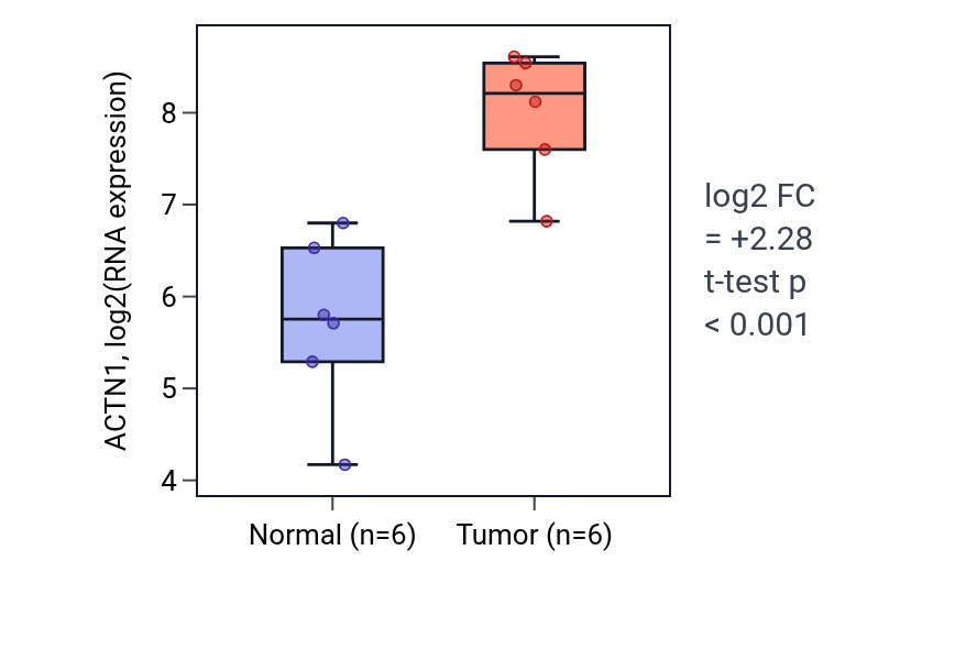 Tumor-vs-normal expression box plot for ACTN1 in HNSC.