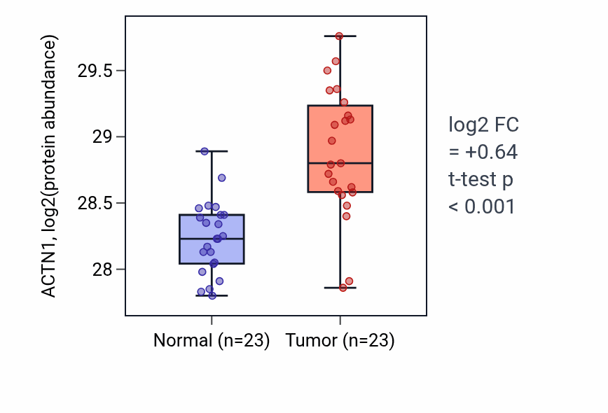 Tumor-vs-normal mass-spec protein box plot for ACTN1 in HNSC.
