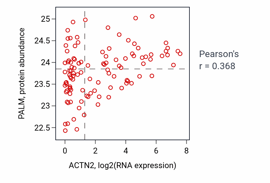 Per-sample scatter of ACTN2 vs PALM in HNSC (Pearson r = 0.37).