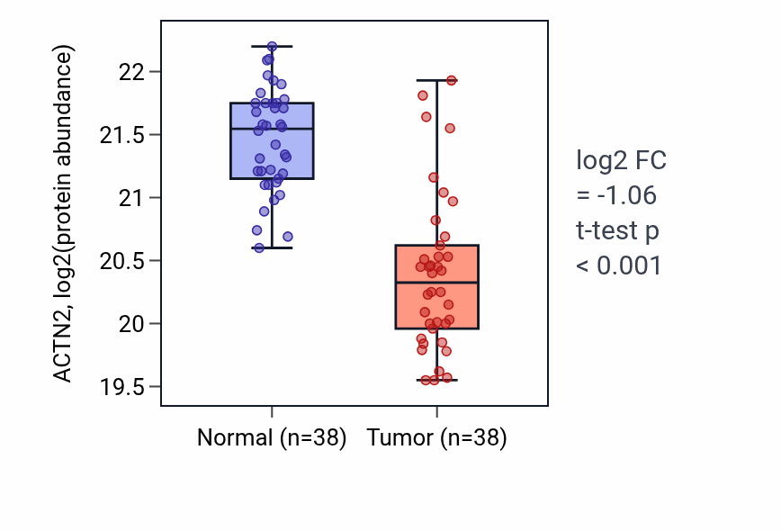 Tumor-vs-normal mass-spec protein box plot for ACTN2 in CCRCC.