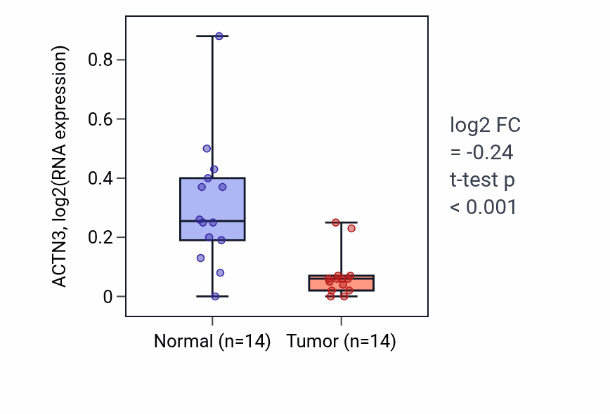 Tumor-vs-normal expression box plot for ACTN3 in THCA.