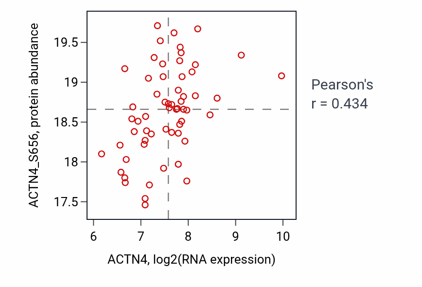 Per-sample scatter of ACTN4 vs ACTN4_S656 in LSCC (Pearson r = 0.43).