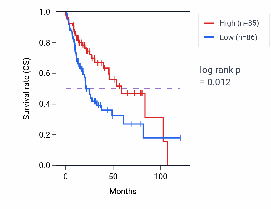Kaplan&ndash;Meier survival curve for ACYP2 RNA expression in LIHC: high vs low expression groups.