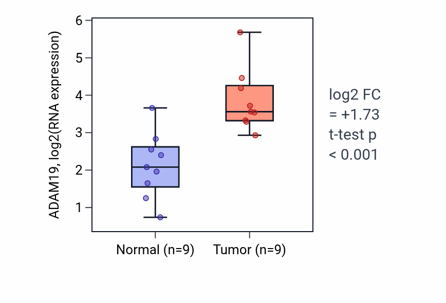 Tumor-vs-normal expression box plot for ADAM19 RNA in HNSC.