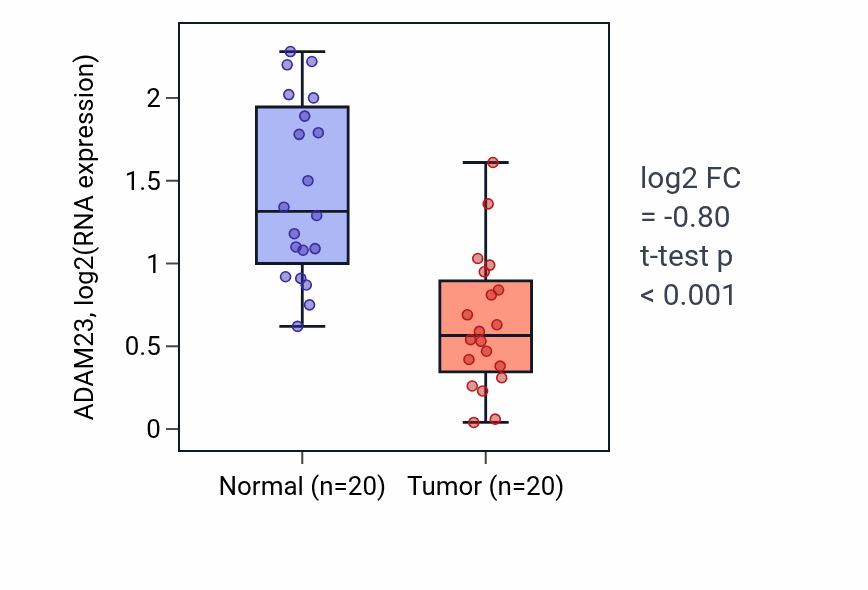Tumor-vs-normal expression box plot for ADAM23 in KIRC.