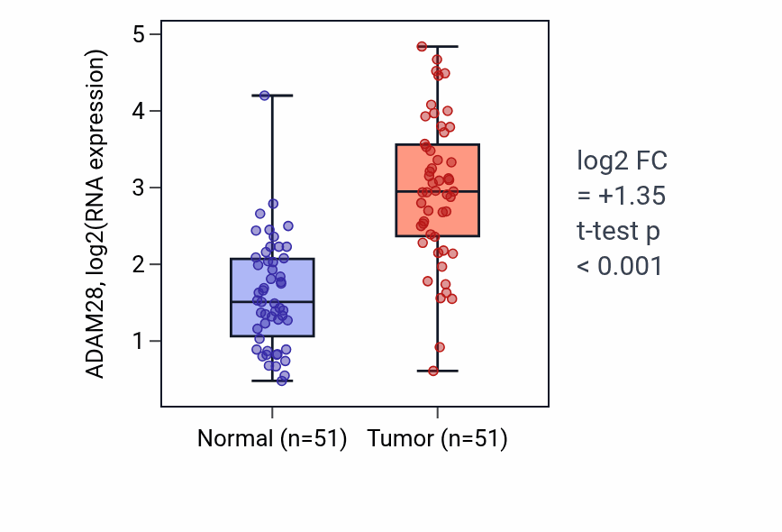 Tumor-vs-normal expression box plot for ADAM28 in KIRC.