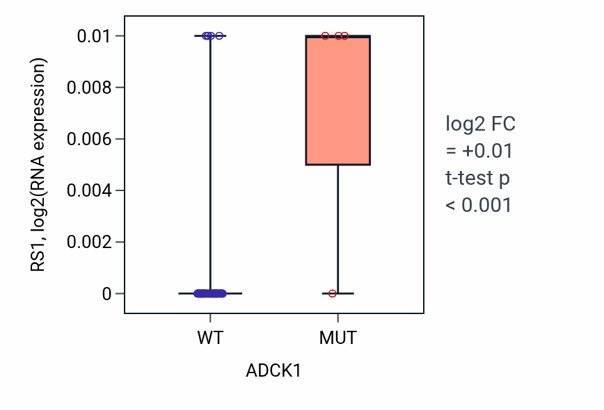 Box plot of RS1 in ADCK1-low vs ADCK1-high samples in PANCREAS.