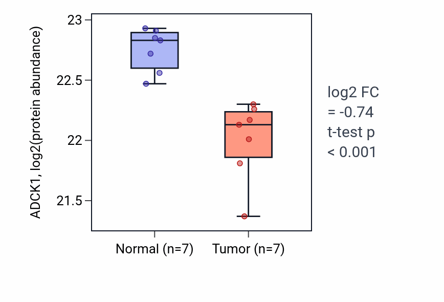 Tumor-vs-normal mass-spec protein box plot for ADCK1 in CCRCC.