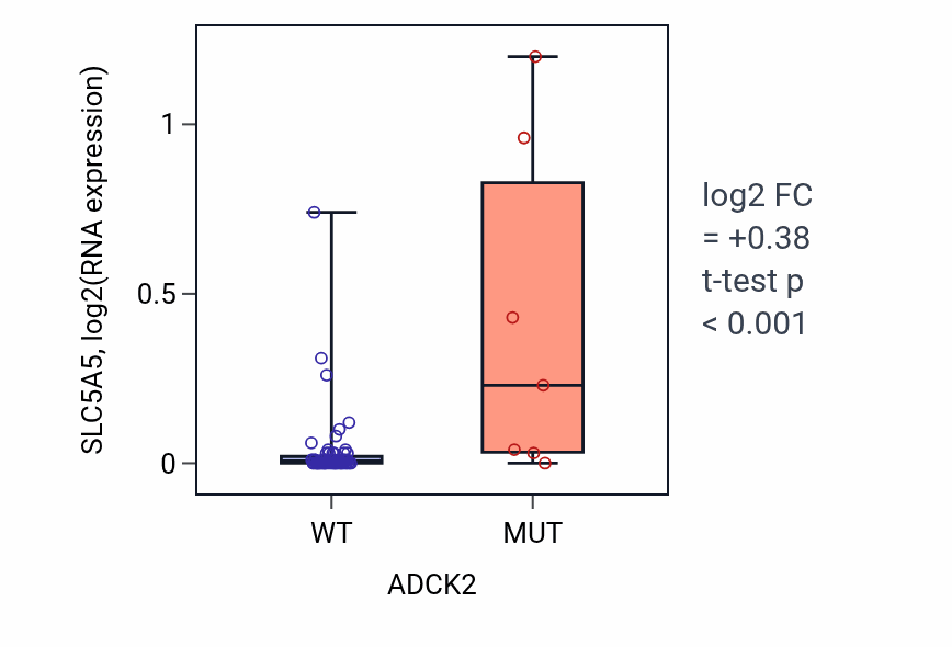 Box plot of SLC5A5 in ADCK2-low vs ADCK2-high samples in LARGE_INTESTINE.