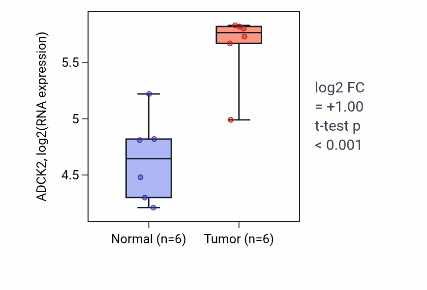 Tumor-vs-normal expression box plot for ADCK2 in KIRC.