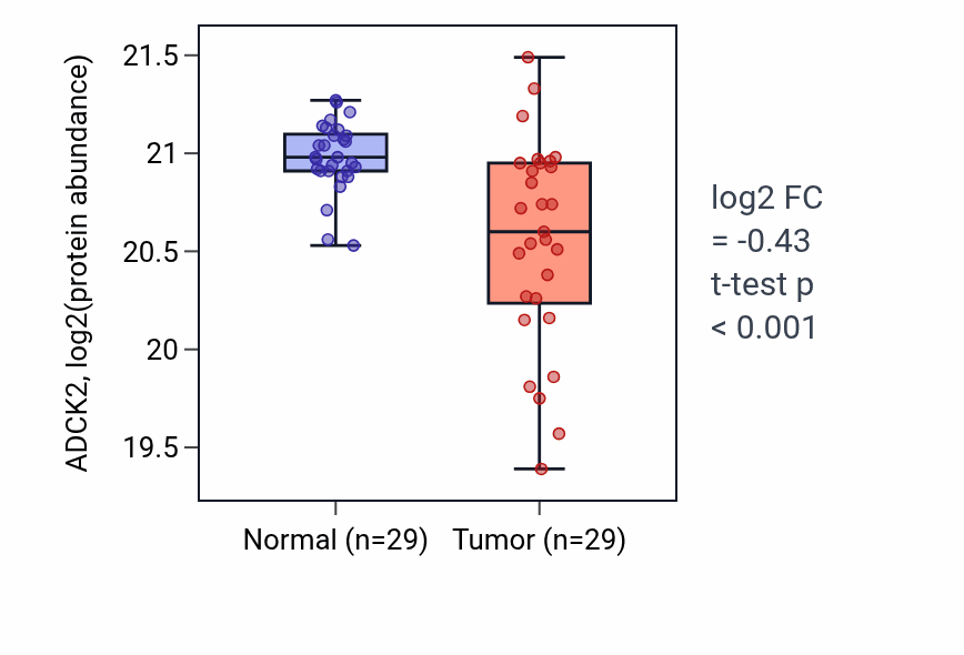 Tumor-vs-normal mass-spec protein box plot for ADCK2 in LUAD.
