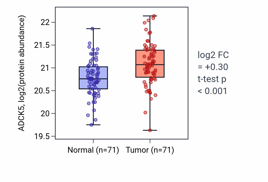 Tumor-vs-normal mass-spec protein box plot for ADCK5 in LSCC.