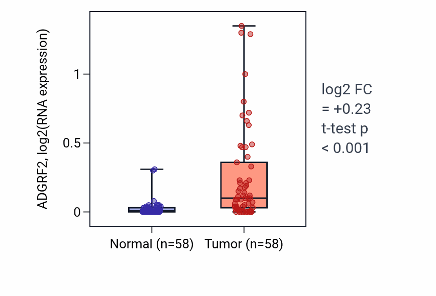 Tumor-vs-normal expression box plot for ADGRF2 RNA in THCA.