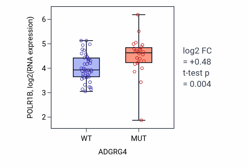 Box plot of POLR1B in ADGRG4-low vs ADGRG4-high samples in SKIN.