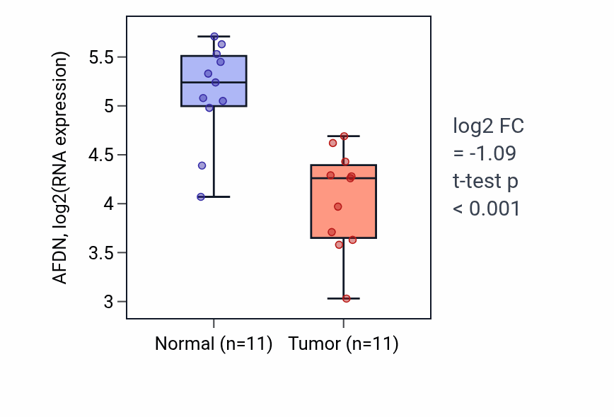 Tumor-vs-normal expression box plot for AFDN in KICH.