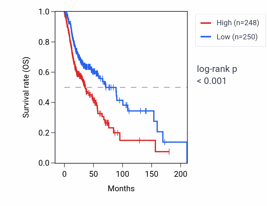 Kaplan&ndash;Meier survival curve for AIG1 RNA expression in HNSC: high vs low expression groups.