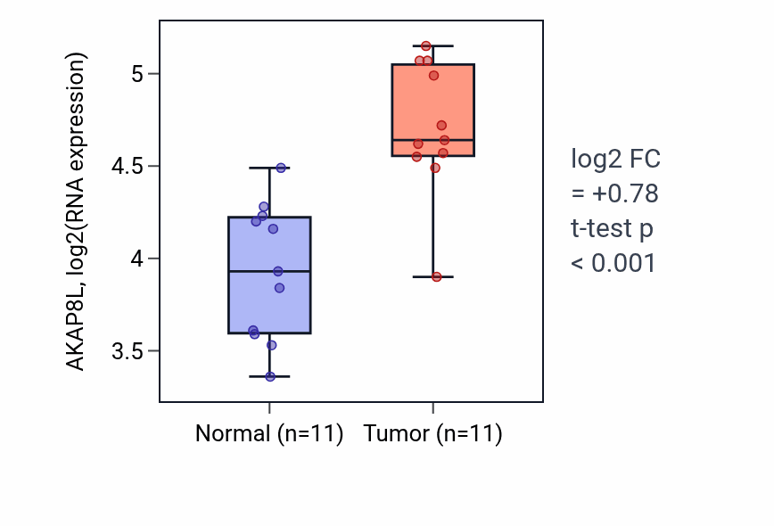 Tumor-vs-normal expression box plot for AKAP8L RNA in HNSC.