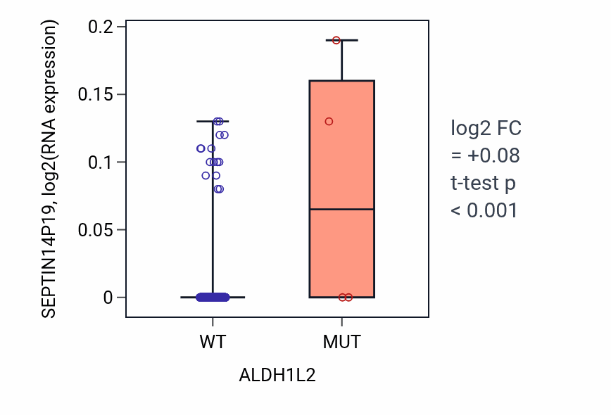 Box plot of SEPTIN14P19 in ALDH1L2-low vs ALDH1L2-high samples in HNSC.