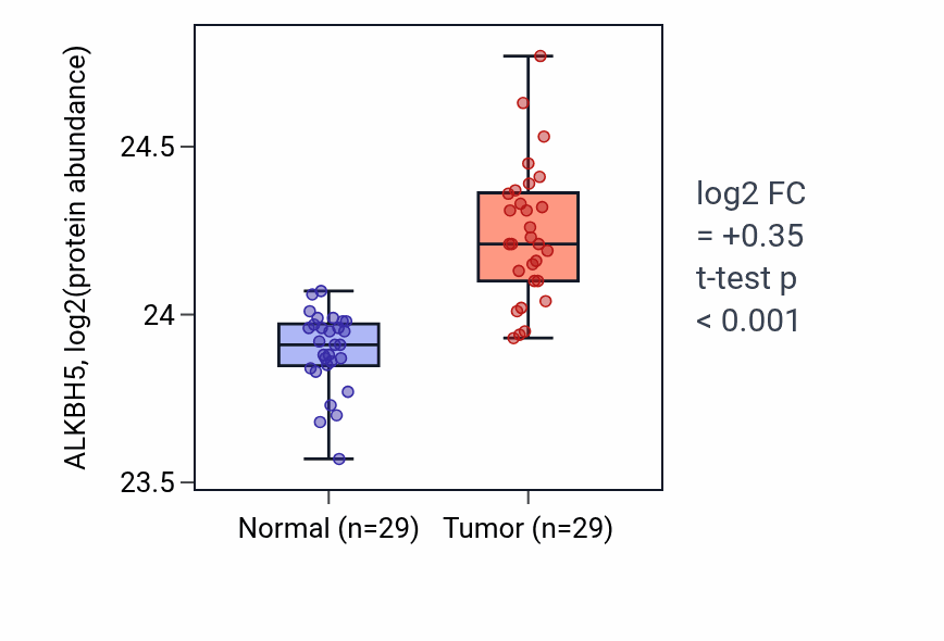 Tumor-vs-normal mass-spec protein box plot for ALKBH5 in CCRCC.