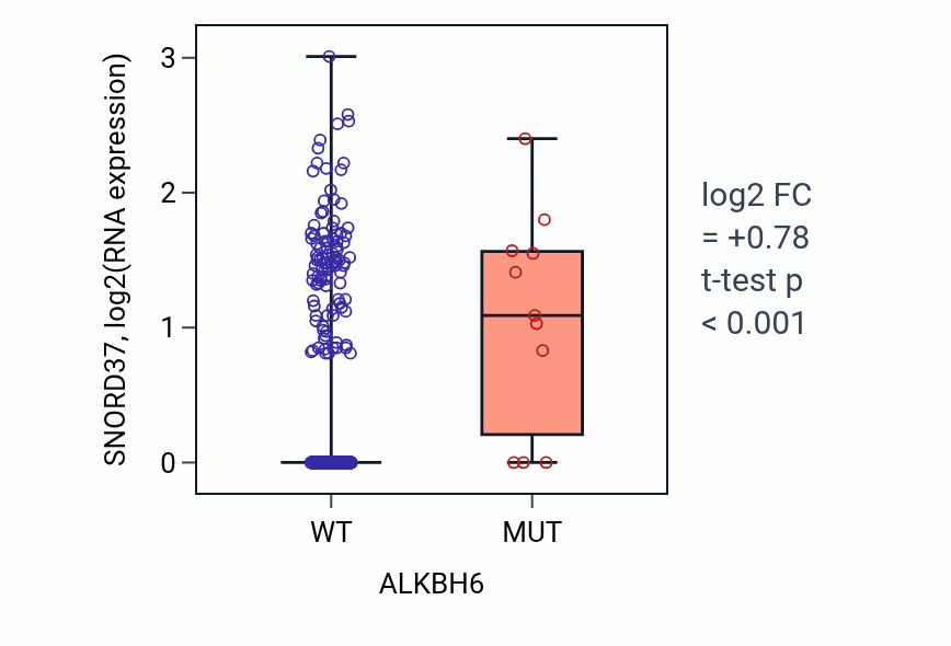 Box plot of SNORD37 in ALKBH6-low vs ALKBH6-high samples in UCEC.
