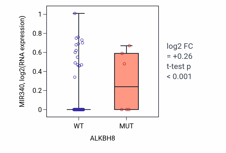 Box plot of MIR340 in ALKBH8-low vs ALKBH8-high samples in CESC.