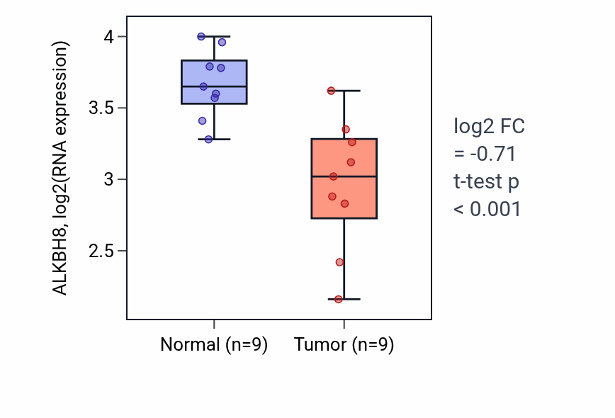 Tumor-vs-normal expression box plot for ALKBH8 in THCA.
