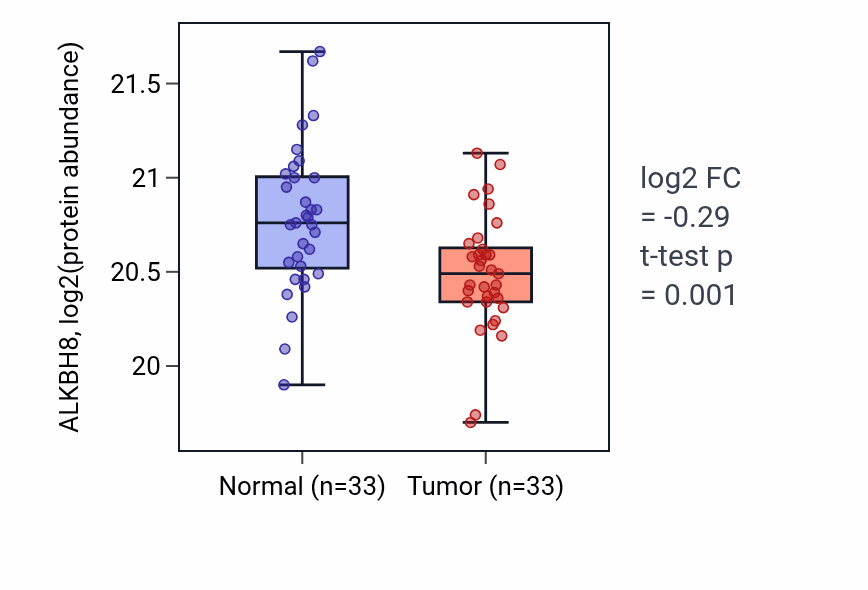 Tumor-vs-normal mass-spec protein box plot for ALKBH8 in HNSC.