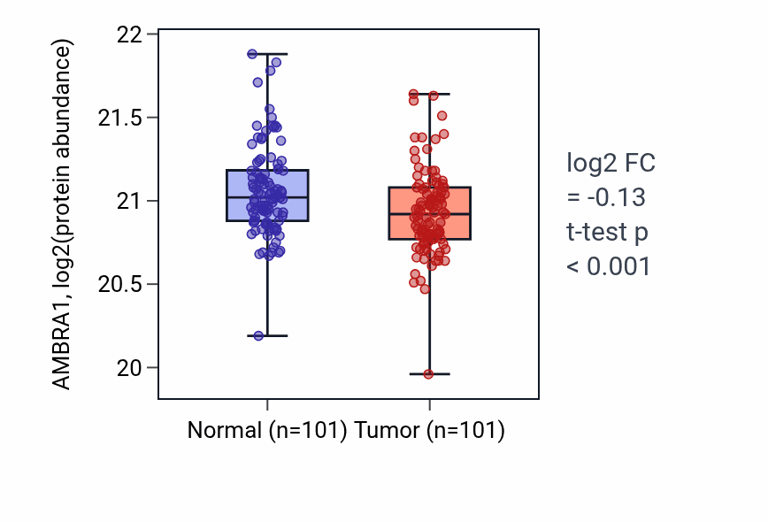 Tumor-vs-normal mass-spec protein box plot for AMBRA1 in LUAD.