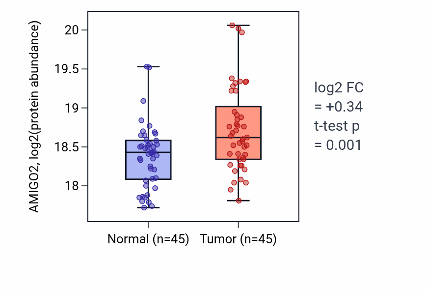 Tumor-vs-normal mass-spec protein box plot for AMIGO2 in LUAD.