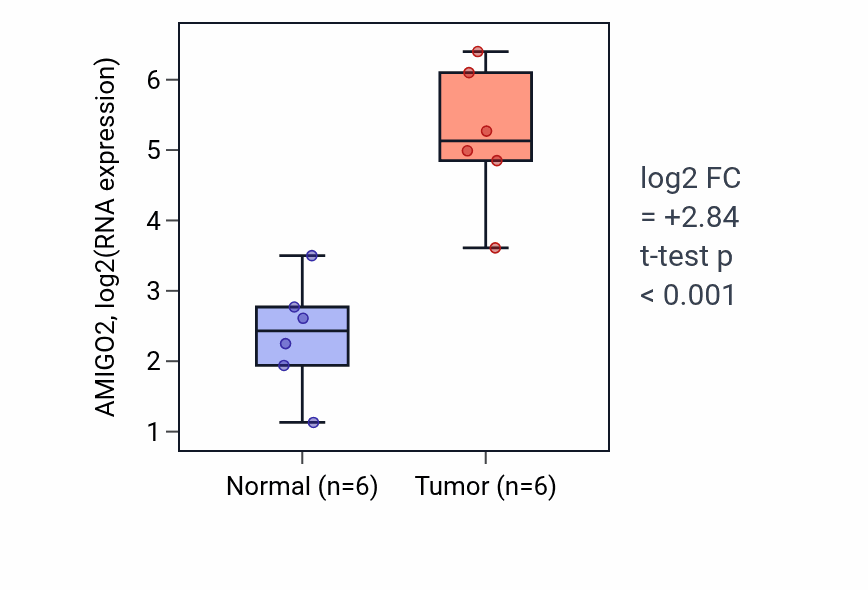 Tumor-vs-normal expression box plot for AMIGO2 RNA in HNSC.