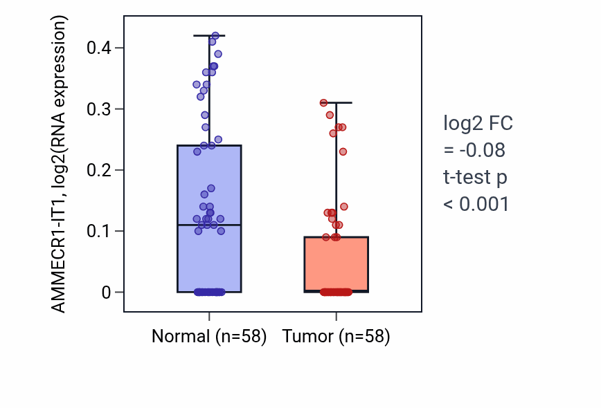 Tumor-vs-normal expression box plot for AMMECR1-IT1 in THCA.