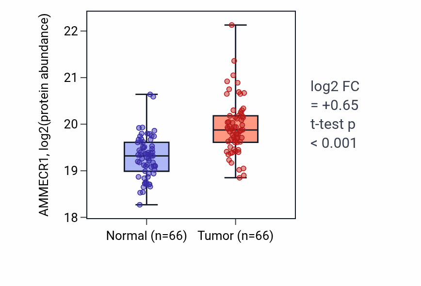 Tumor-vs-normal mass-spec protein box plot for AMMECR1 in LSCC.