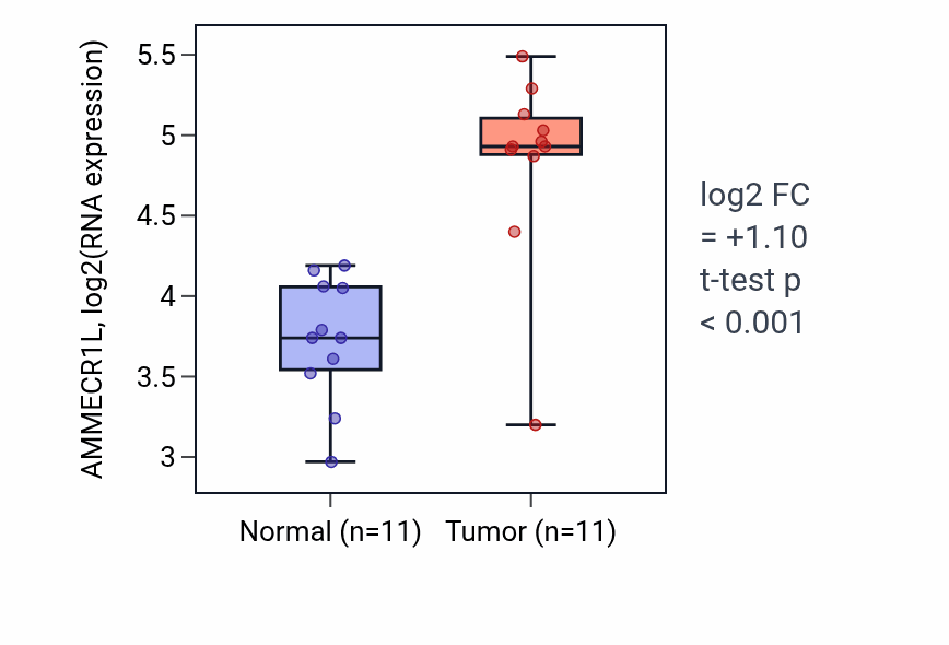 Tumor-vs-normal expression box plot for AMMECR1L in HNSC.