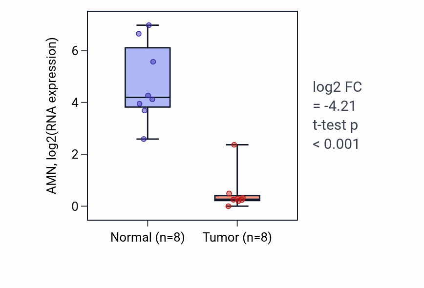 Tumor-vs-normal expression box plot for AMN in KICH.