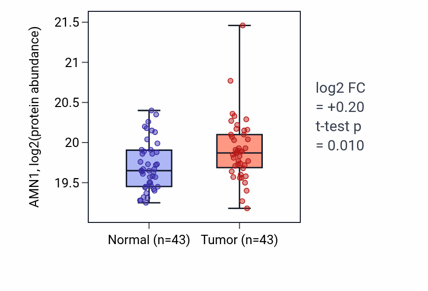 Tumor-vs-normal mass-spec protein box plot for AMN1 in LSCC.