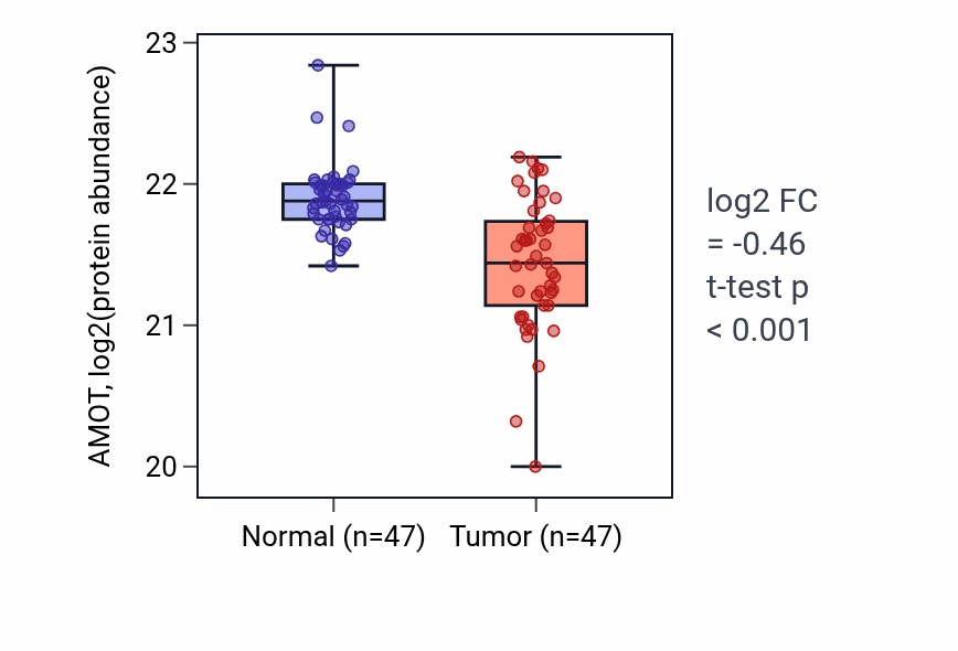 Tumor-vs-normal mass-spec protein box plot for AMOT in LSCC.