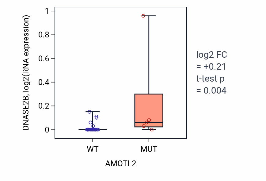 Box plot of DNASE2B in AMOTL2-low vs AMOTL2-high samples in URINARY_TRACT.