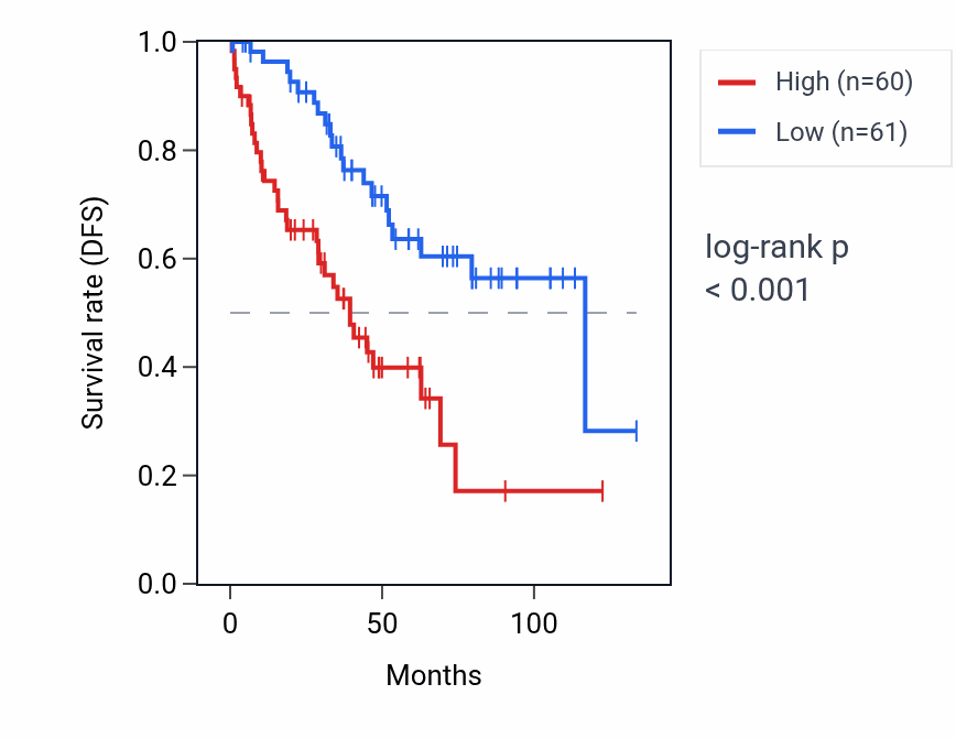 Kaplan&ndash;Meier survival curve for AMZ2P1 RNA expression in KIRC: high vs low expression groups.